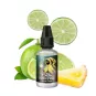 Hidden Potion A&L - Concentré Greedy Lemon 30ml