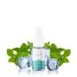 Petit Nuage - Boreal Mint 10ml