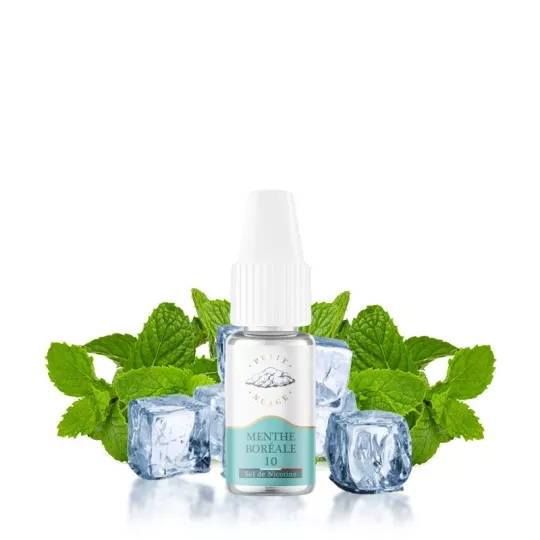 Petit Nuage - Boreal Mint Nic Salts 10ml