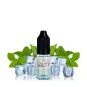 Salty Savourea - Menthe Polaire 10ml