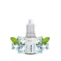 Savourea - Iceberg 10ml