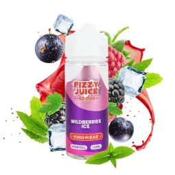 Fizzy - Ghiaccio ai frutti di bosco 0mg 100ml