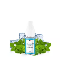 Roykin - Sali di menta ghiacciata e nic 10 ml