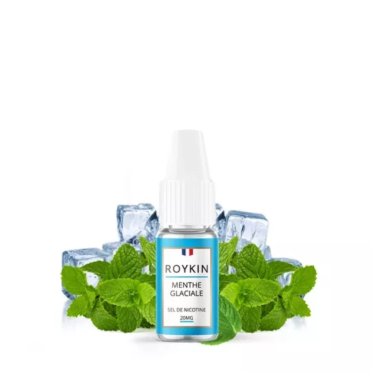 Roykin - Sali di menta ghiacciata e nic 10 ml