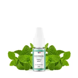 Roykin - Sais Nic de Menta Tripla 10ml