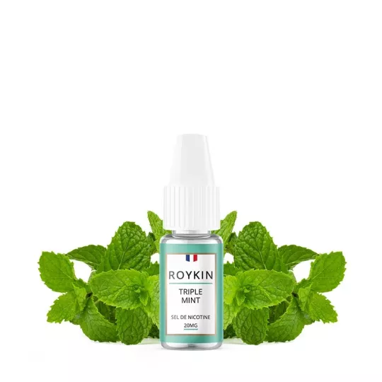 Roykin - Sais Nic de Menta Tripla 10ml