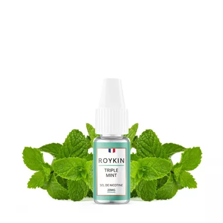 Roykin - Sais Nic de Menta Tripla 10ml