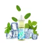 Fruizee di Eliquid France - Concentrato di menta Icee 10 ml