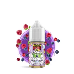 Biggy Bear - Concentrado de Fusão de Frutos Silvestres 30ml