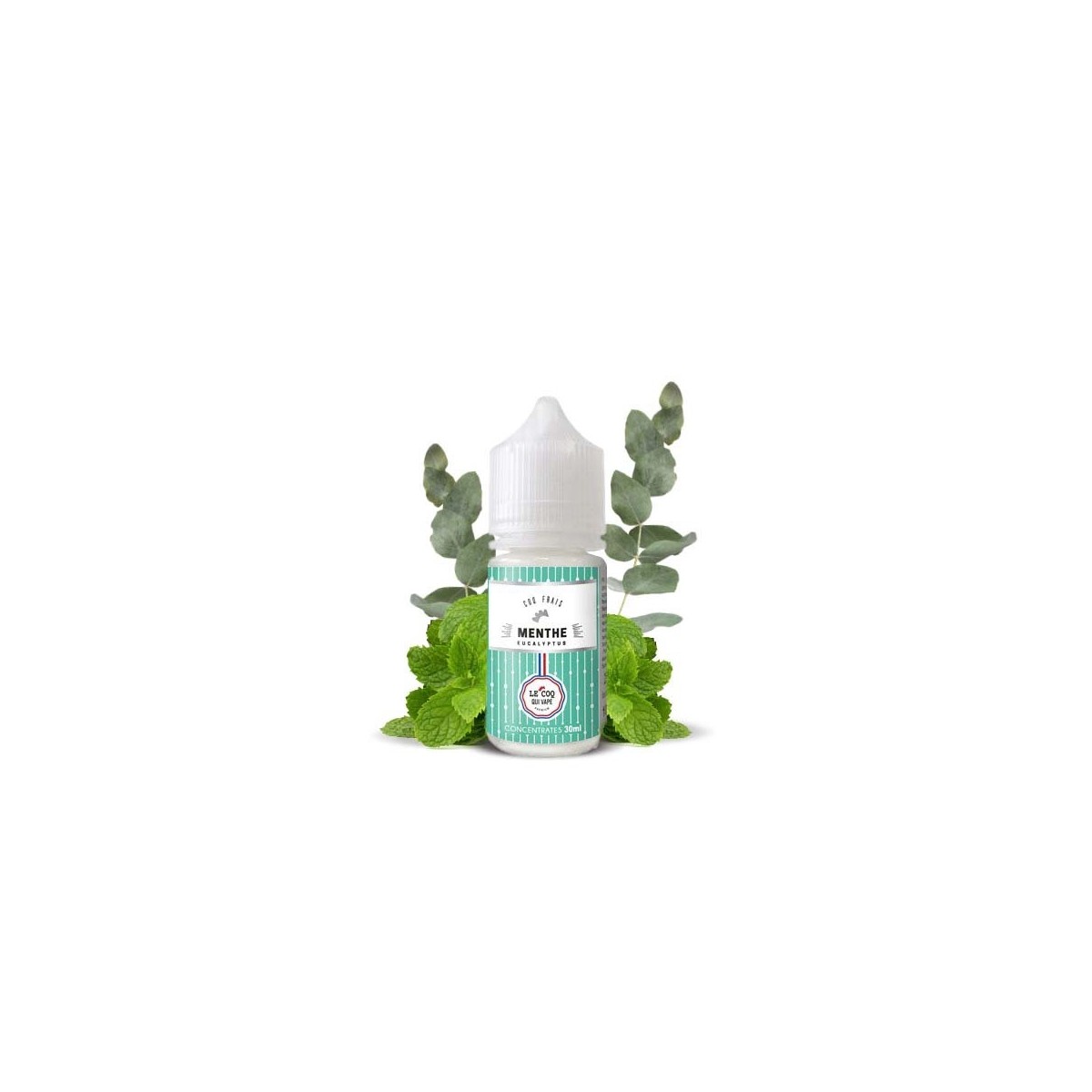 Le Coq Qui Vape - Concentrado de Eucalipto Menta 30ml