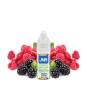 JNR BlackBerry Red Raspberry 10ml - Nic Salt 20mg | Intense fruity e-liquid